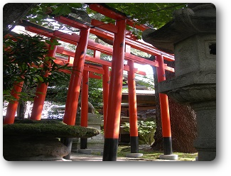 稲荷社鳥居。初午祭にご参列の方は、稲荷社へおこし下さい。 稲荷社鳥居。初午祭にご参列の方は、稲荷社へおこし下さい。